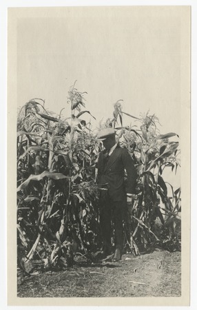 Man in corn field in Linda Vista