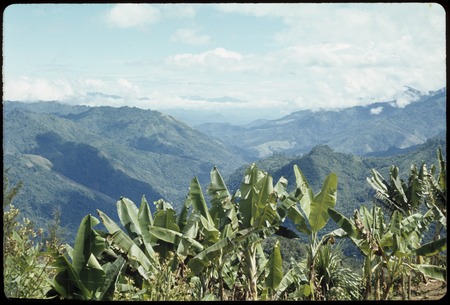 Jimi River Valley and mountains, garden in foreground