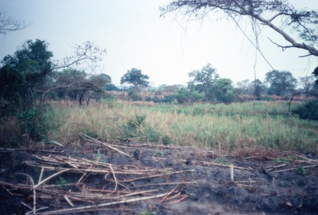 Area surrounding a salt-making camp near Mukupa Katandula village