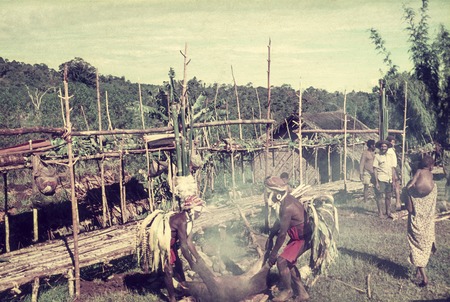 Decorated men singe the bristles off a pig, preparing to cook for ritual exchange in Koiari village