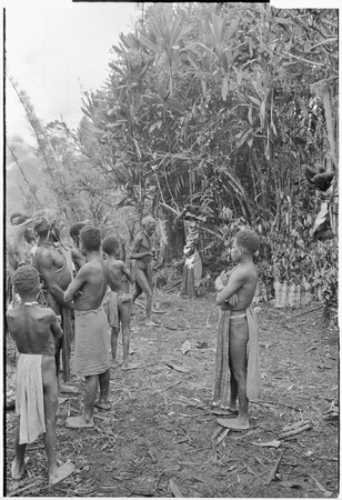 Returned laborers, purification ritual: Kent speaks to dead cassowaries dressed as humans, symbolizing the ancestors