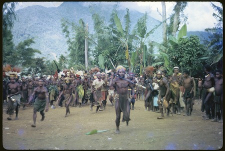 Pig festival, pig sacrifice, Kwiop: Ygaina charges with spear while other armed men look on, show of ritual agggression