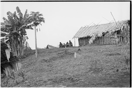 Yeria, Wanuma Census Division: people, houses, banana and papaya trees