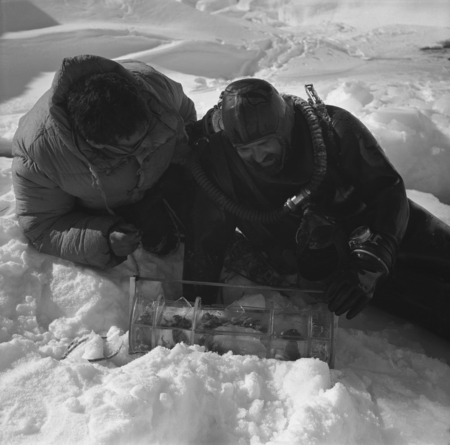 Eugene N. Gruzov (left) and Alexander F. Pushkin (right) looking at collected samples