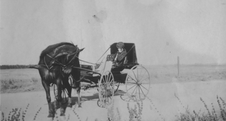 [Woman with horse and buggy]