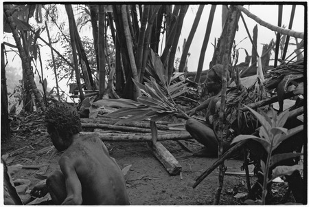 Pig festival, stake-planting, Tuguma: man bespells stakes, cordyline and aglaonema leaves for ritual