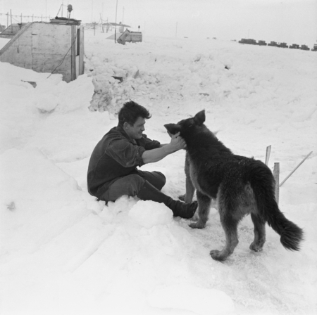Man playing with a polar dog