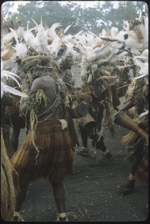 Port Moresby show: dancers with kundu drums and feather headdresses