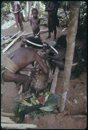 Pig festival, uprooting cordyline ritual, Tuguma: butchering sacrificial pig in ancestral shrine
