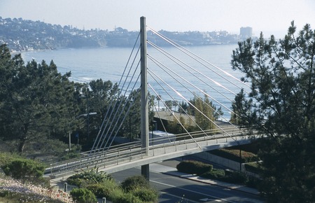 Scripps Crossing Pedestrian Bridge: view from the north east side