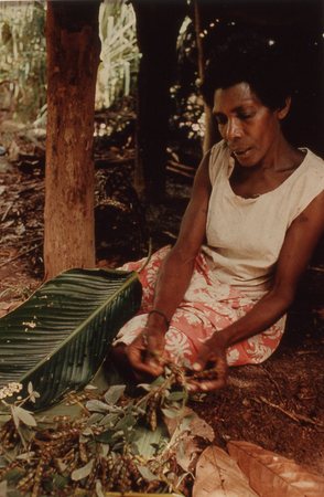 Nevinbong in the bush preparing a meal