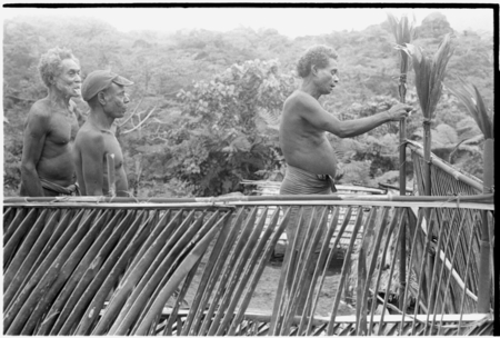 Consecration of feasting platform with bespelled cordyline, here being tied to the platform.