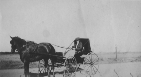 [Women with horse and buggy]
