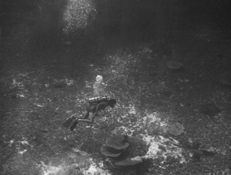Walter H. Munk diving near the floor of the Pleistocene atoll called Alexa Bank, during the Capricorn Expedition