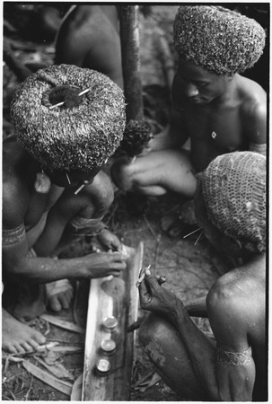 Pig festival, wig ritual, Tsembaga: men with mix paint from tins, to be applied to wigs