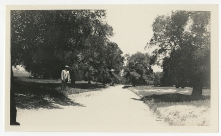 William G. Henshaw on road near Warner&#39;s Ranch