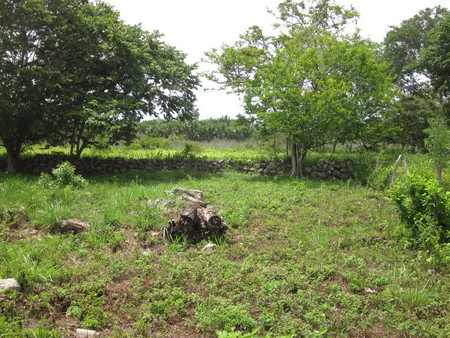 Tixcuytun Field