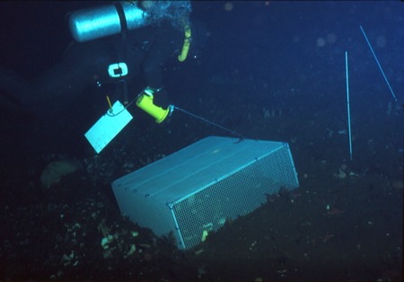 Gordon Robilliard examining an exclusion cage, during his benthic ecology research project. near McMurdo Station, Antarcti...