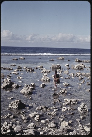 Girl in short fiber skirt walks on a reef near Wawela village at low tide, waves break on edge of coral reef in distance