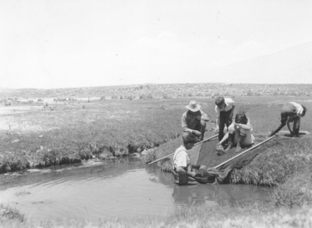 Carl Hubbs and others with nets, Sucker Creek, Wyoming