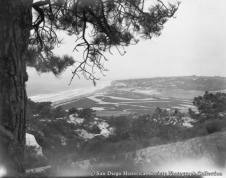 View of coastline and lagoon with Torrey pine tree on left