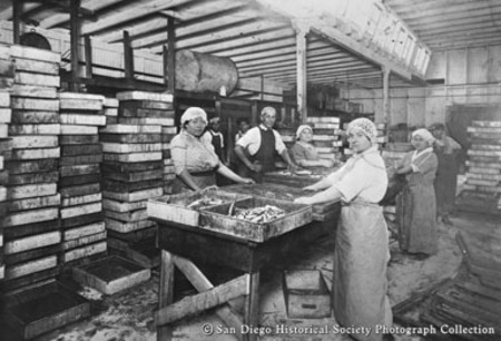 Workers cleaning sardines at Normandy Sea Food Company