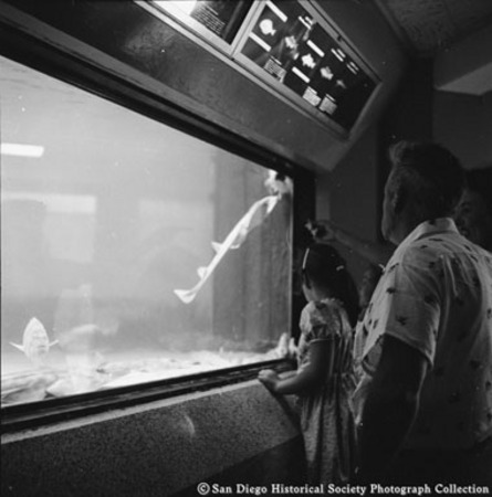 People looking at fish in Scripps Aquarium display