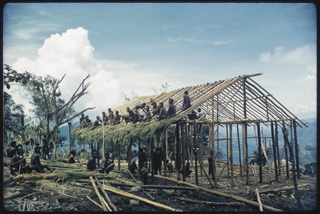 House-building: Kwiop men thatching roof of the Cooks&#39; house