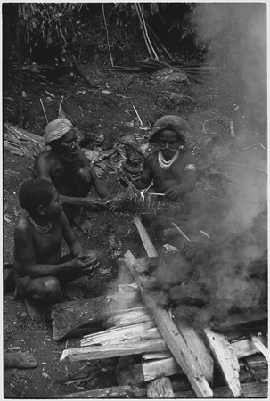 Pig festival, uprooting cordyline ritual, Tsembaga: men singe feathers from a dead cassowary