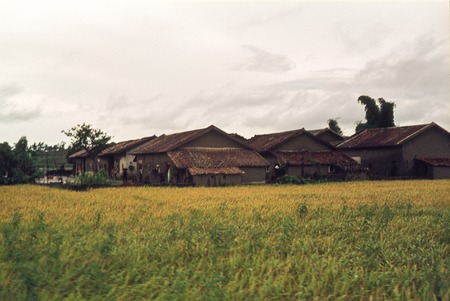 Communal Dwellings and Fields