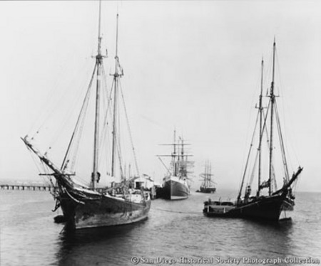 Sailing ships anchored off west end of Pacific Coast Steamship Company wharf