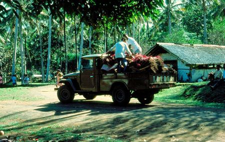 Vivian&#39;s Wedding, Truck takes Vivian&#39;s mats