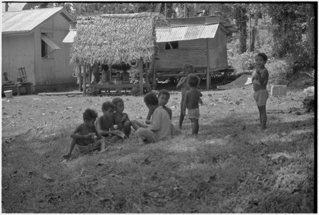 Children playing in grass clearing next to houses