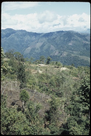 Houses belonging to Mai and Ndikai, with gardens in foreground and on mountains in distance
