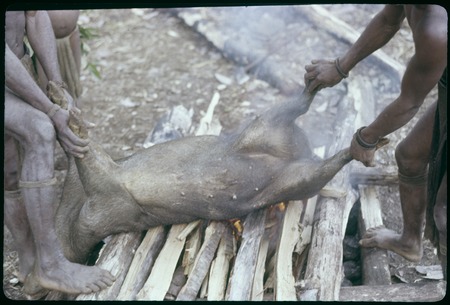 Food preparation: singeing bristles from a pig, Nemengomp
