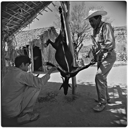 Butchering a goat at Rancho Pie de la Cuesta