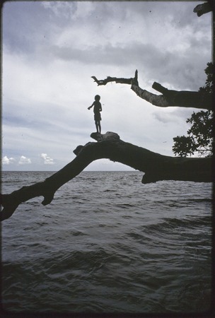 Fishing: boy fishes with a hand line while standing on tree branch above waves on the east coast of Kiriwina
