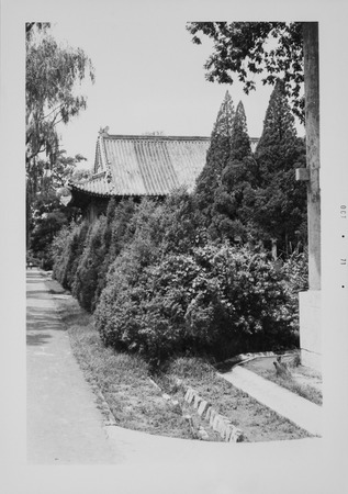 Chinese Style Garden and Architecture