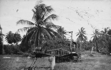 Crane on Bikini Island, this photo was taken by a member of the Capricorn Expedition (1952-1953). Operation Ivy, the U.S. ...
