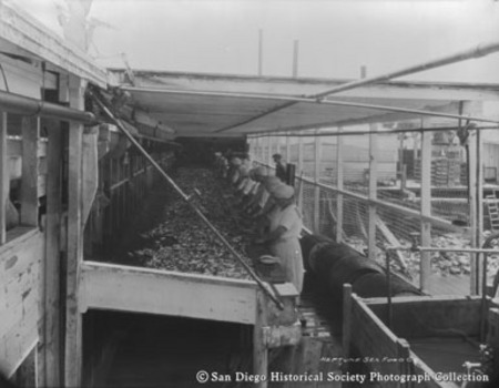 Women cleaning fish at Neptune Sea Food Company cannery