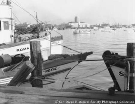 Fishing boats moored to dock with San Diego City and County Administration Building in distance