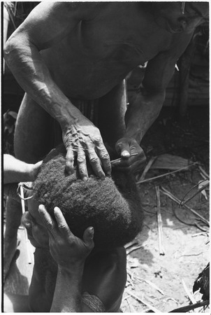 Pig festival, wig ritual, Tsembaga: man&#39;s hair pulled over wig frame