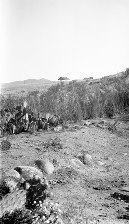 Ruins at Mission San Vicente