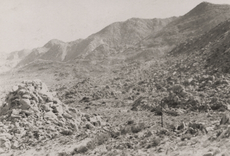 Baja California landscape. Gulf of California Expedition aboard the E.W. Scripps, 1939
