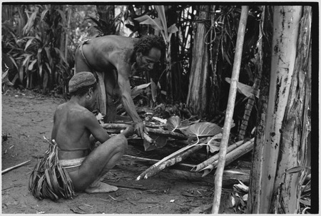 Pig festival, stake-planting, Tuguma: man bespells cordyline, stakes, bamboo and aglaonema leaves for ritual
