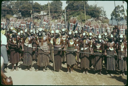Mount Hagen show: Medlpa men wearing tall feather headdresses with shell ornaments and long net skirts