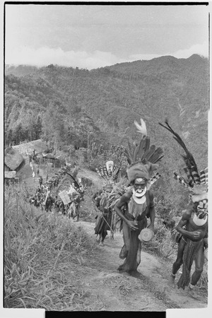 Pig festival, singsing: decorated men on trail from Cook&#39;s house