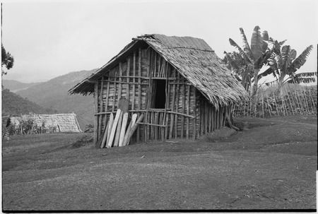 Megiranu, Wanuma Census Division: house with raised doorway