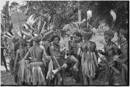 Pig festival, wig ritual: men wearing red wigs and feather valuables, folded mat held between split stick (l) used to carr...