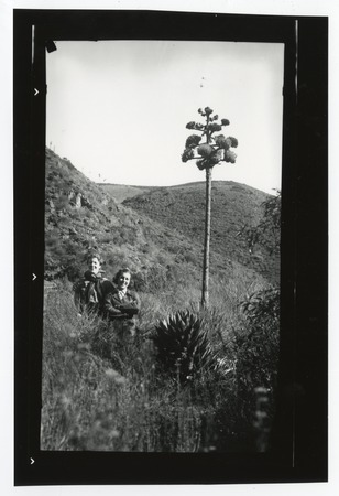 Women posing near blooming cactus